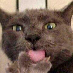 白忙活!几只股票都跌!…哥们没有蓝筹股!_上证