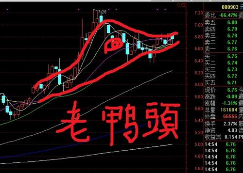 千金难买老鸭头_云内动力(000903)股吧_东方