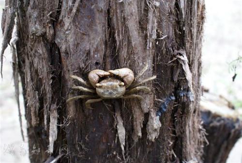 竟然有这事_山鹰纸业(600567)股吧_东方财富