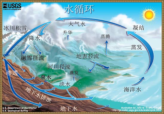 简述人类活动破坏植被对水循环环节产生的影响