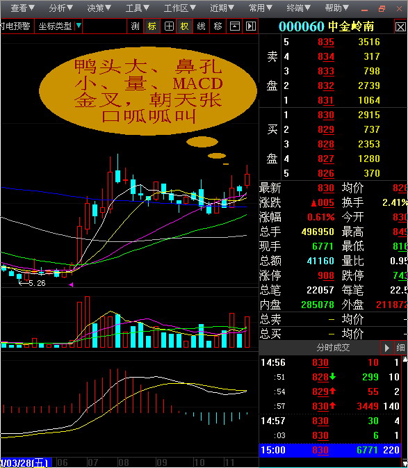 百里挑一的——周线老鸭头_中金岭南(000060)股吧_网