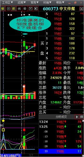 600373标准漂亮的倒拔垂杨柳k线组合,庄家意图无遗