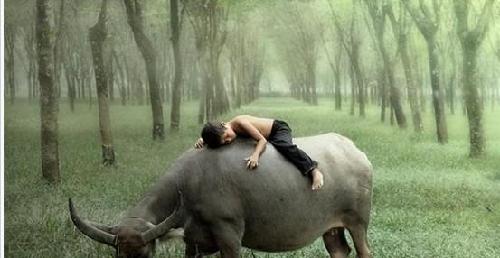 逢低买进,中字头概念,铁定重组_*ST海化(0008