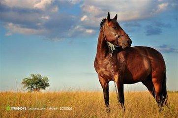 牢骚没有用。_亚太科技(002540)股吧_东方财