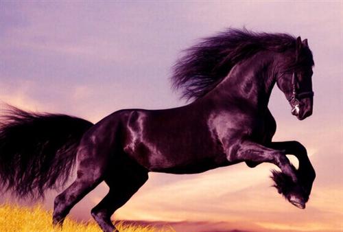 000608_阳光股份(000608)股吧_东方财富网股吧