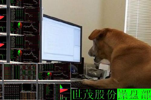 世茂股份操盘手爆光_世茂股份(600823)股吧_