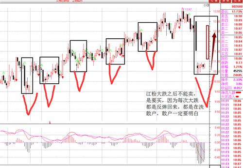 江粉:1月12日,跳空大阳底部岛形反转,散户快买