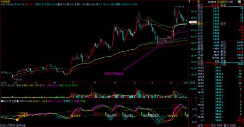 浙江杭州股友(图)_光电股份(600184)股吧_东方