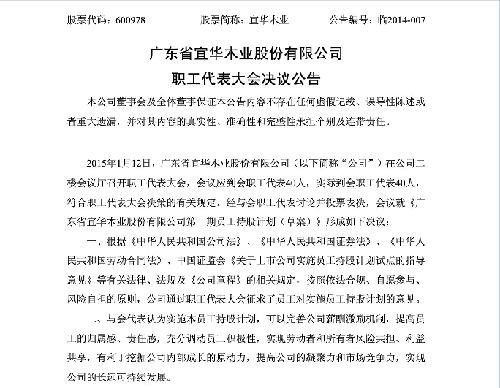 宜华木业职工代表大会决议公告_宜华木业(600