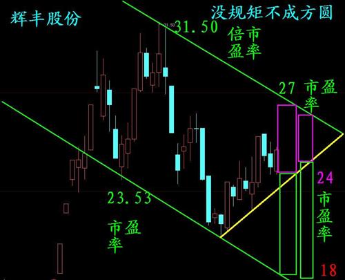 辉丰股份未来空间和市盈率的关系_辉丰股份(0