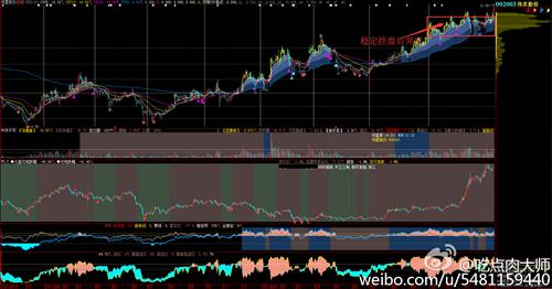 伟星股份选择突破_伟星股份(002003)股吧_东