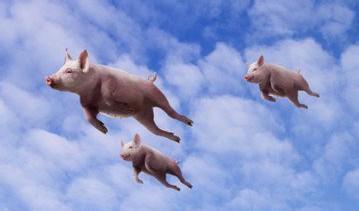 猪想飞,怎么飞?坐大飞机飞!_中航飞机(000768