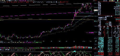 给机构发个图_光电股份(600184)港股吧_东方