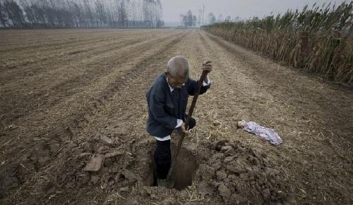 触目惊心的环境污染2_高能环境(603588)股吧