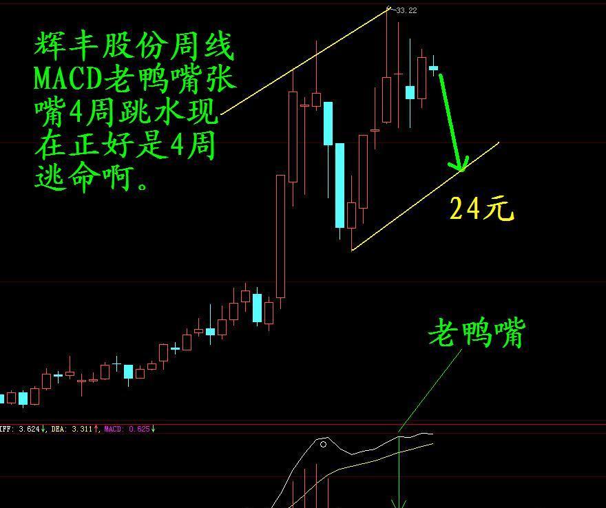 辉丰股份周k线老鸭嘴4周现在极度风险,出局观望.