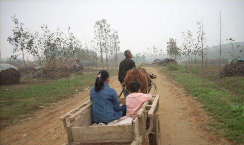 老牛拉车,越走越远