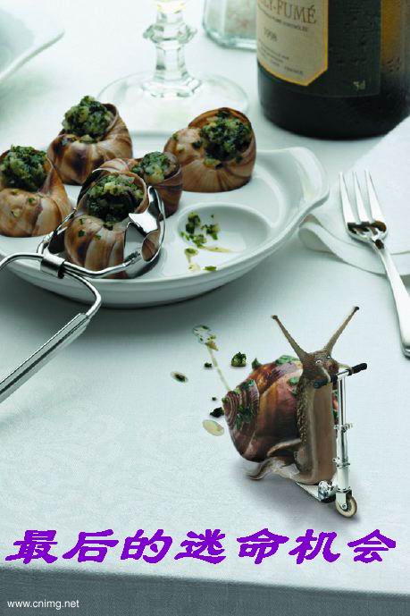 今天是最后的出逃300027的机会_华谊兄弟(30