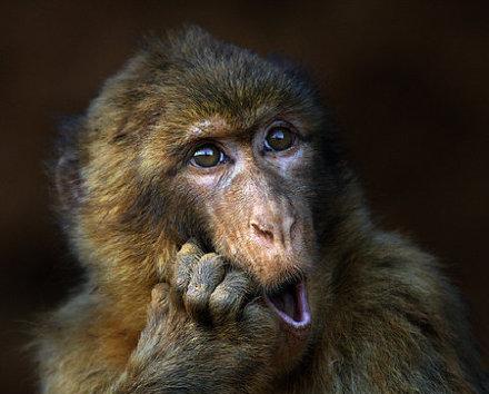 航天五院分类改革_中国卫星(600118)股吧_东