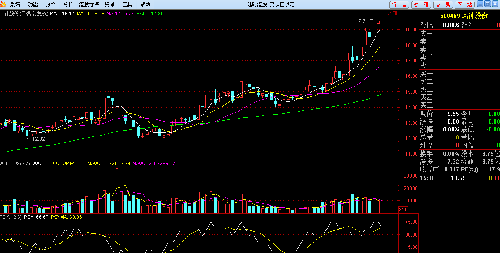 汽车轮胎股大涨:青岛双星狂涨50%!_风神股份