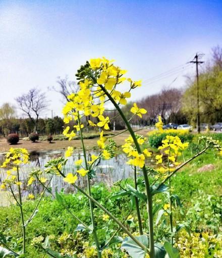 万华化学股吧 - 图片大全 - 天丽资讯网