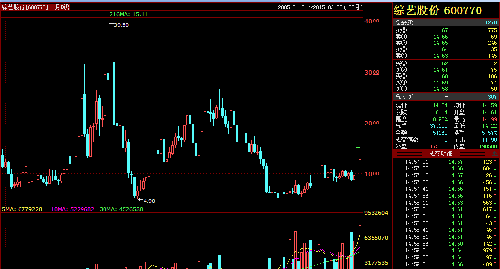 上市18.5年,18年均线刚出现_综艺股份(600770