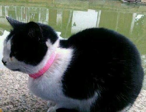 当大学生都开始炒股的时候,当是个人炒股都可