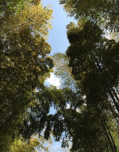 券商过多将迎整合大潮 申万宏源给决策层信心