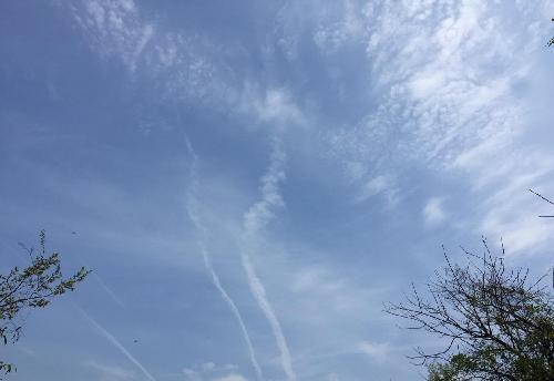 券商过多将迎整合大潮 申万宏源给决策层信心