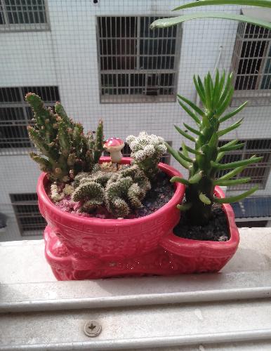 <em>马甲</em>号_<em>股市</em>实战(gssz)美股吧_东方财富网股吧