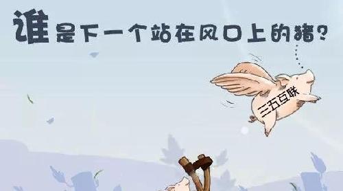 三五互联，站在风口的飞猪!_三五互联(300051)股吧_东方财富网股吧