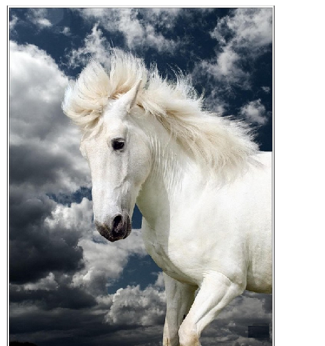 买卖中建 心理测试 (欣赏图片 - 好运留下足迹)_