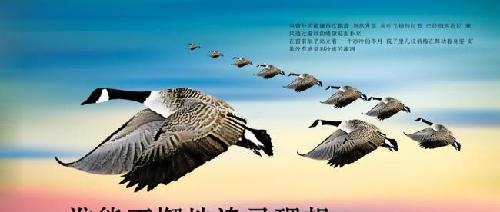 大雁南飞,一飞冲天_湖南天雁(600698)股吧_东