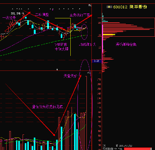 天量见顶还是天量天价?_隆基股份(601012)股