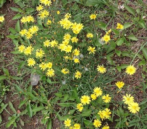 [图片]_高能环境(603588)股吧_东方财富网股吧