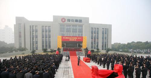 浙江嘉兴股友 做财务的看不懂财务_传化股份(