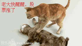 这行情不涨停都不好意思跟人打招呼!