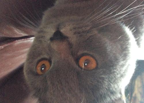 大家要注意噢。[大笑][大笑][大笑]_诺力股份(60