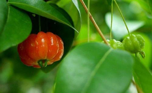 成商集团重组复牌时中国股票市场商业股票的最