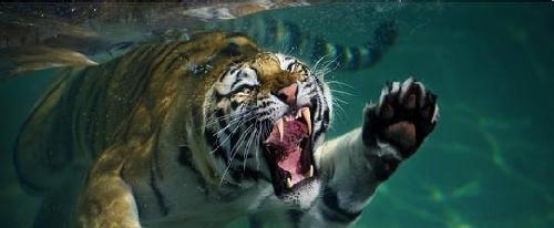 贪污最严重,最无人敢管的上市公司一定股价最