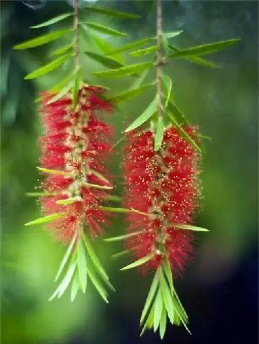 大恒_大恒科技(600288)股吧_东方财富网股吧