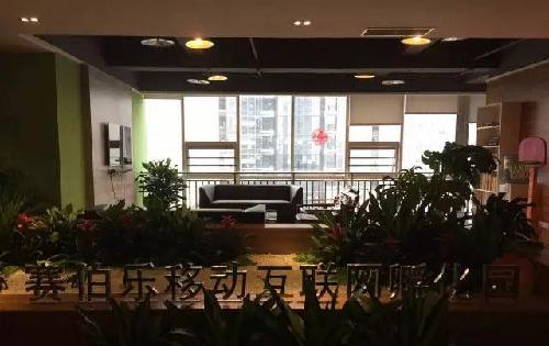 赛伯乐16亿元投资猪八戒网_*ST成城(600247)