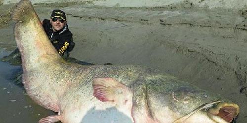 发完臭新股必须上5元_农业银行(601288)股吧