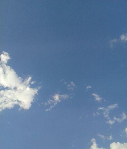 今天休息明天吧!_紫金矿业(601899)股吧_东方