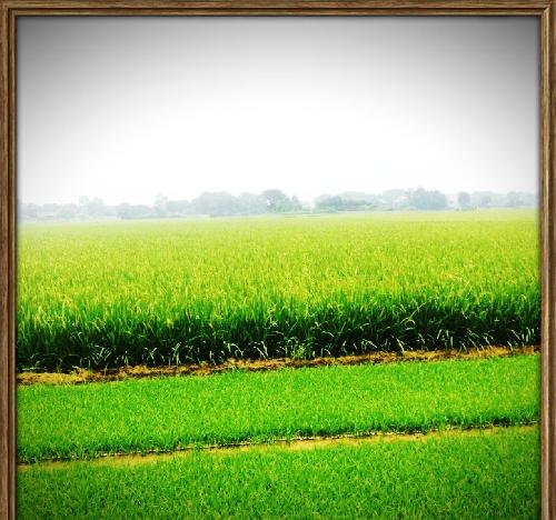 三鑫的故事_中航三鑫(002163)股吧_东方财富