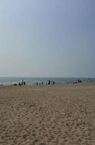 央视神提示:一旦逃出火场 不要再返回 股市大跌