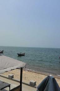 央视神提示:一旦逃出火场 不要再返回 股市大跌