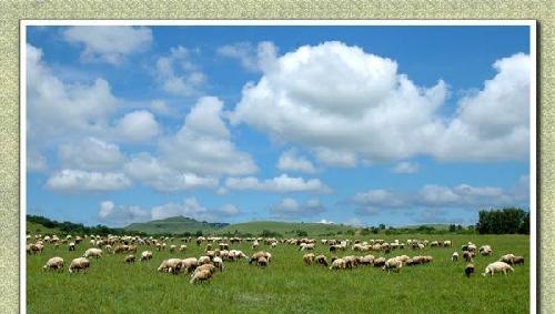 就差一纸公告_麦趣尔(002719)股吧_东方财富