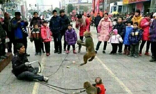 金融保卫战,索罗斯败了。港府不是限制做空,而