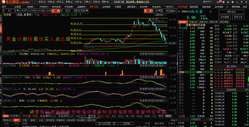 300111向日葵已经到了非常安全投资价位,大胆积极买入