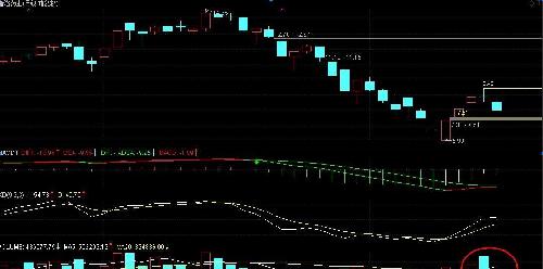 普洛药业收盘观察_普洛药业(000739)股吧_东